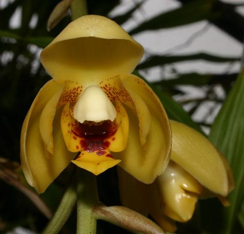 Photo by Patricia Harding, Feb. 2004