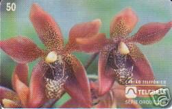 Houlletia sp. on Brazilian phonecard