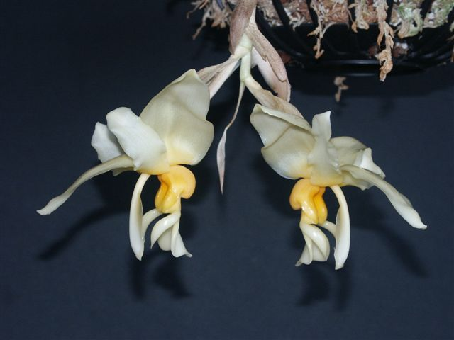 photo by Kelvin Bush