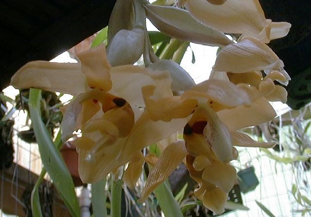 photo by Patricia Harding