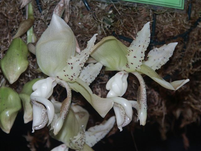 Photo by Kelvin M. Bush